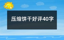 壓縮餅干好評40字