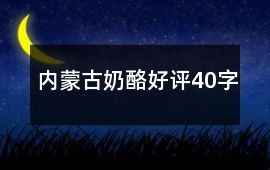 內蒙古奶酪好評40字