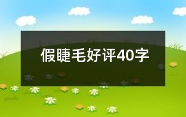 假睫毛好評40字