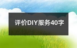 評價(jià)DIY服務(wù)40字