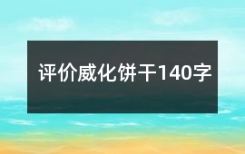 評價威化餅干140字