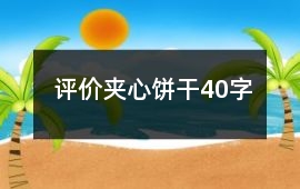 評價夾心餅干40字