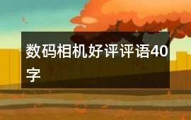 數(shù)碼相機好評評語40字