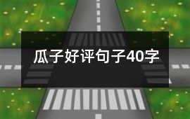 瓜子好評句子40字