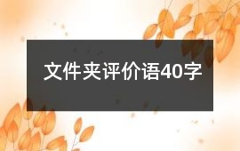 文件夾評價語40字