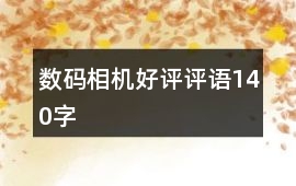數碼相機好評評語140字
