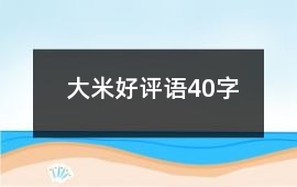 大米好評(píng)語(yǔ)40字