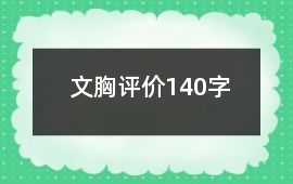 文胸評價140字