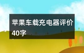 蘋果車載充電器評價40字