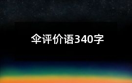 傘評(píng)價(jià)語340字
