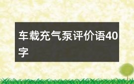 車載充氣泵評(píng)價(jià)語(yǔ)40字