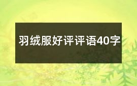 羽絨服好評評語40字