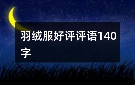 羽絨服好評評語140字