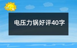 電壓力鍋好評(píng)40字