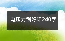 電壓力鍋好評240字