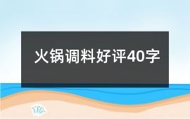 火鍋調料好評40字