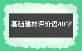 基礎(chǔ)建材評價語40字
