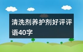 清洗劑、養護劑好評評語40字