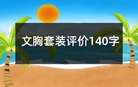 文胸套裝評價140字