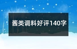 醬類調(diào)料好評140字