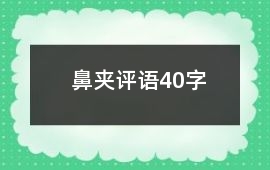 鼻夾評語40字