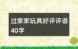 過家家玩具好評評語40字