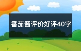 番茄醬評價好評40字