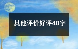 其他評價好評40字