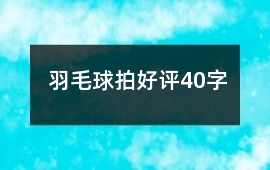 羽毛球拍好評(píng)40字