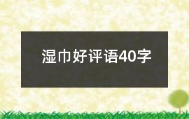 濕巾好評語40字