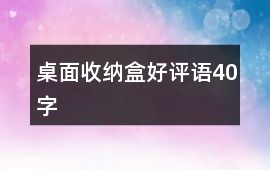 桌面收納盒好評語40字
