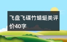 飛盤、飛碟、竹蜻蜓類評價40字