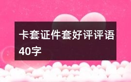 卡套、證件套好評評語40字
