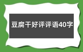 豆腐干好評評語40字