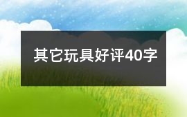 其它玩具好評40字
