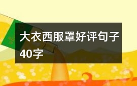大衣、西服罩好評句子40字