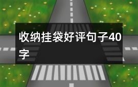收納掛袋好評句子40字