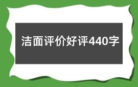 潔面評價好評440字