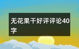 無花果干好評評論40字