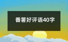 番薯好評語40字