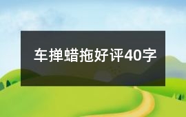車撣、蠟拖好評40字