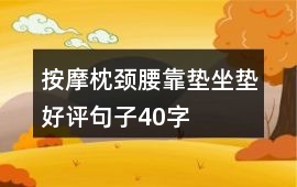 按摩枕、頸腰靠墊、坐墊好評句子40字
