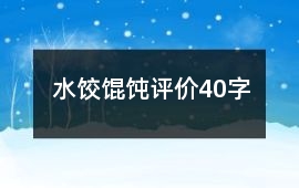 水餃、餛飩評(píng)價(jià)40字
