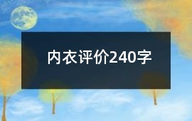 內衣評價240字