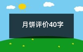 月餅評價40字