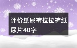 評(píng)價(jià)紙尿褲、拉拉褲、紙尿片40字
