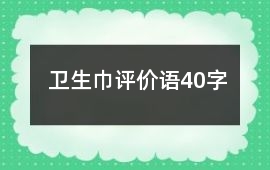 衛生巾評價語40字