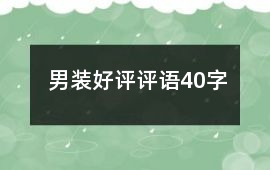男裝好評評語40字
