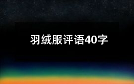 羽絨服評語40字