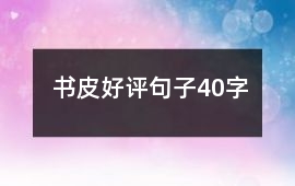 書皮好評句子40字